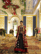 Jamkudi  Traditional Mirror Work Gujarati Outfit